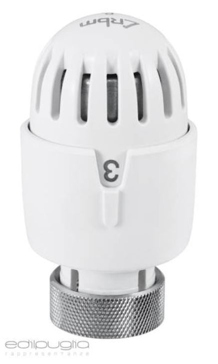 Testa termostatica RBM