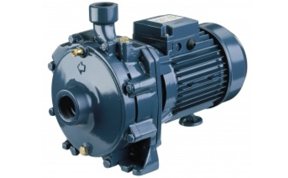 Elettropompa Ebara Centrifuga Bigirante Modello CDA/I 2.00 T Corpo in Ghisa Trifase