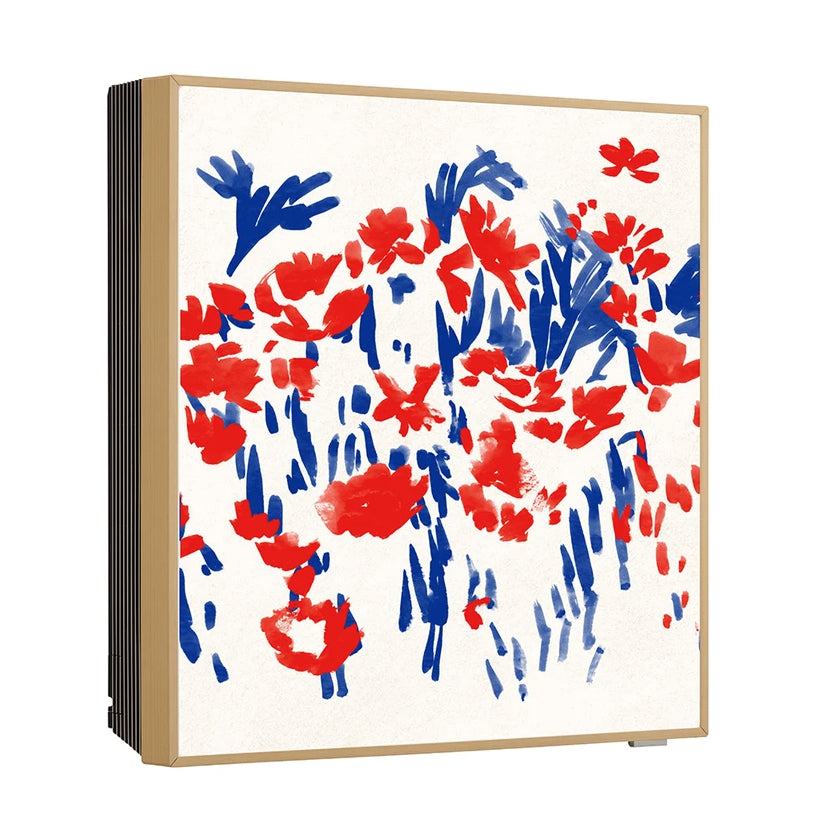 Condizionatore Climatizzatore LG monosplit inverter R-32 ARTCOOL Gallery Photo 9000 BTU Wi-Fi Integrato A09GA1.NSE