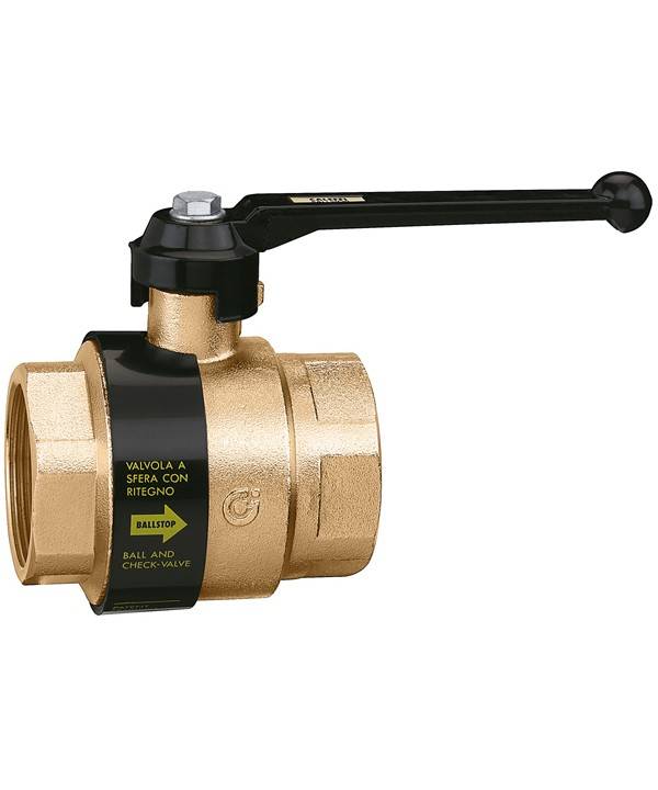 Valvola con ritegno a farfalla FF