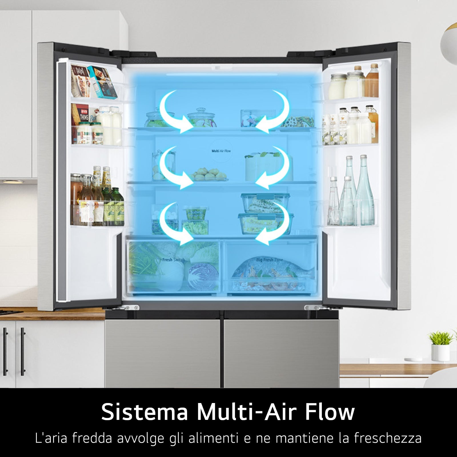 Frigorifero Multidoor Libera Installazione LG GMM41MSBEM 474L Classe E Silver