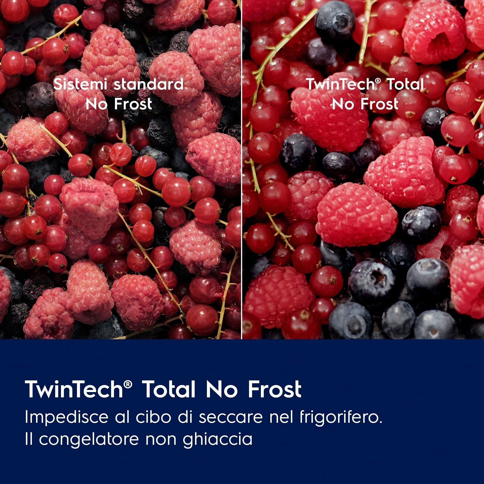 Frigorifero Con Congelatore Da Incasso Electrolux Serie 600 TwinTech ENT6NE18S 257L Classe E