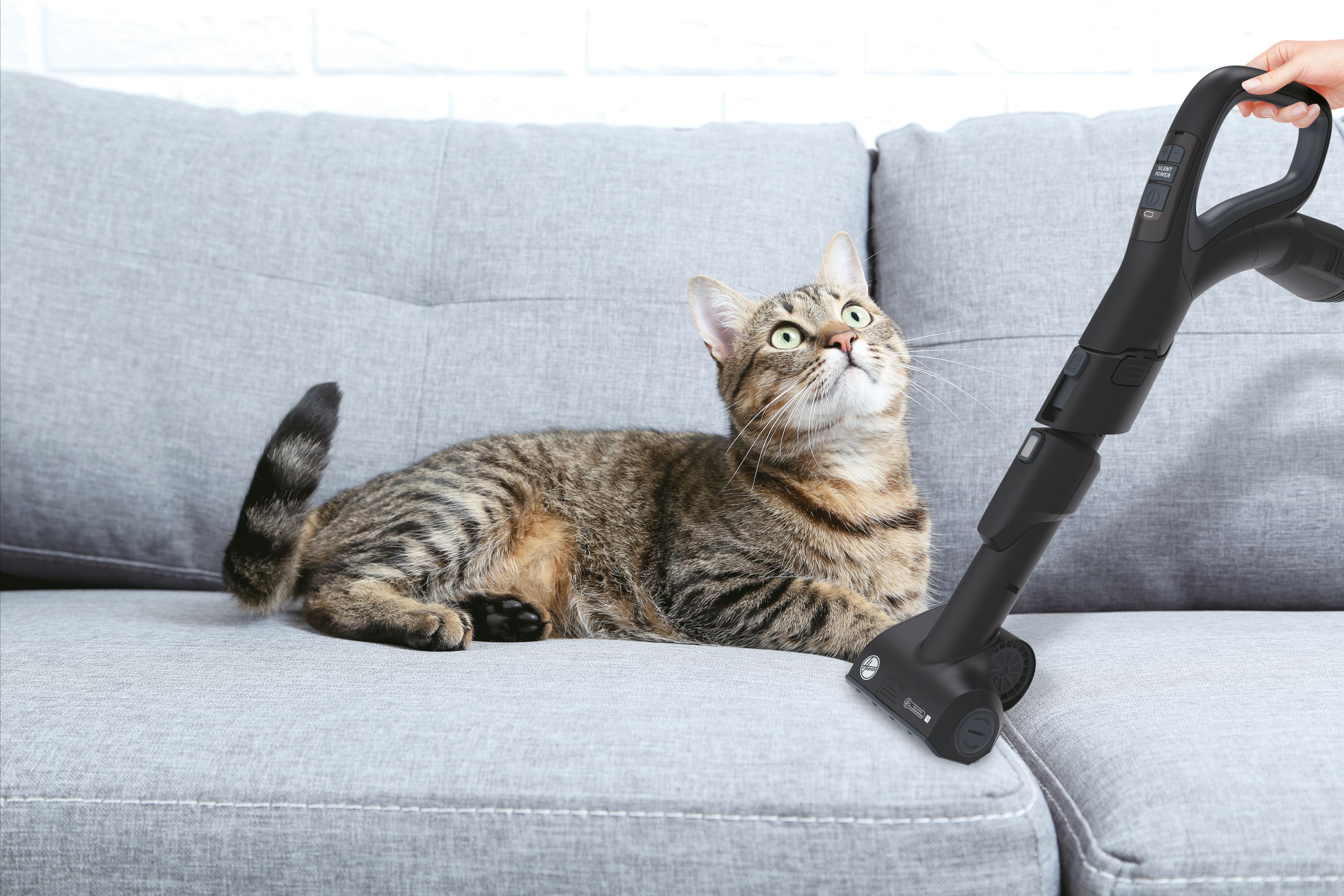 Aspirapolvere a Traino Senza Sacco con Filo Hoover HP730ALG 011  850W 2L Nero